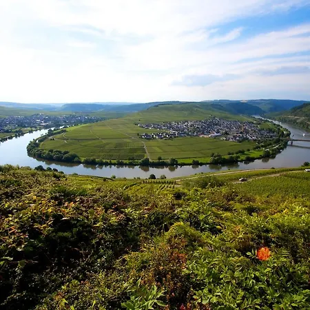 The View Ensch